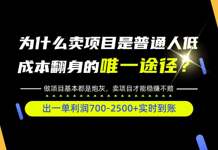 普通人如何靠互联网賺取自己的第一桶金!全类目实操型教学,看完你全都懂了!【揭秘】-橙心云网创