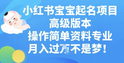 小红书宝宝起名项目高级版本，操作简单，资料专业，月入过W-橙心云网创