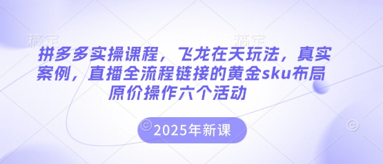 拼多多实操课程，飞龙在天玩法，真实案例，直播全流程链接的黄金sku布局原价操作六个活动-橙心云网创