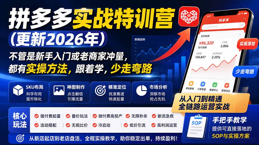 拼多多实战特训营(更新26年0822-橙心云网创