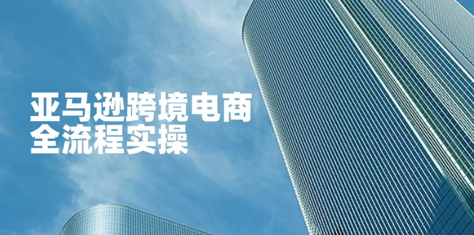 （14252期）亚马逊跨境电商全流程实操，教你从零开始，掌握店铺运营与广告技巧-橙心云网创