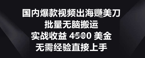 国内爆款视频出海挣美刀,批量无脑搬运,实战收益4.5k,无需经验直接上手-橙心云网创
