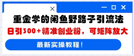 重金学的闲鱼野路子引流法，日引300+精准创业粉，可矩阵放大-橙心云网创