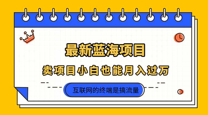 （14289期）2025年最新蓝海项目，卖项目小白也能月入过万-橙心云网创