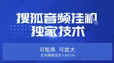 【搜狐音频挂G】独家技术，可矩阵可放大，红利期稳定月入8k【揭秘】-橙心云网创