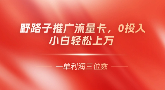 0门槛推广流量卡，一单收益上百，0投入，小白月入过W-橙心云网创
