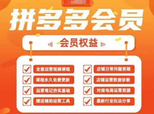 2025拼多多运营实战课，40节全流程教学，覆盖拼多多运营全链路-橙心云网创