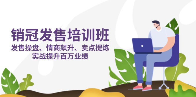 （14203期）销冠 发售培训班：发售 操盘+情商 飙升+卖点 提炼，实战提升百万业绩-橙心云网创